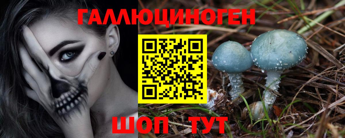 Галлюциногенные грибы Psilocybine cubensis Кимовск