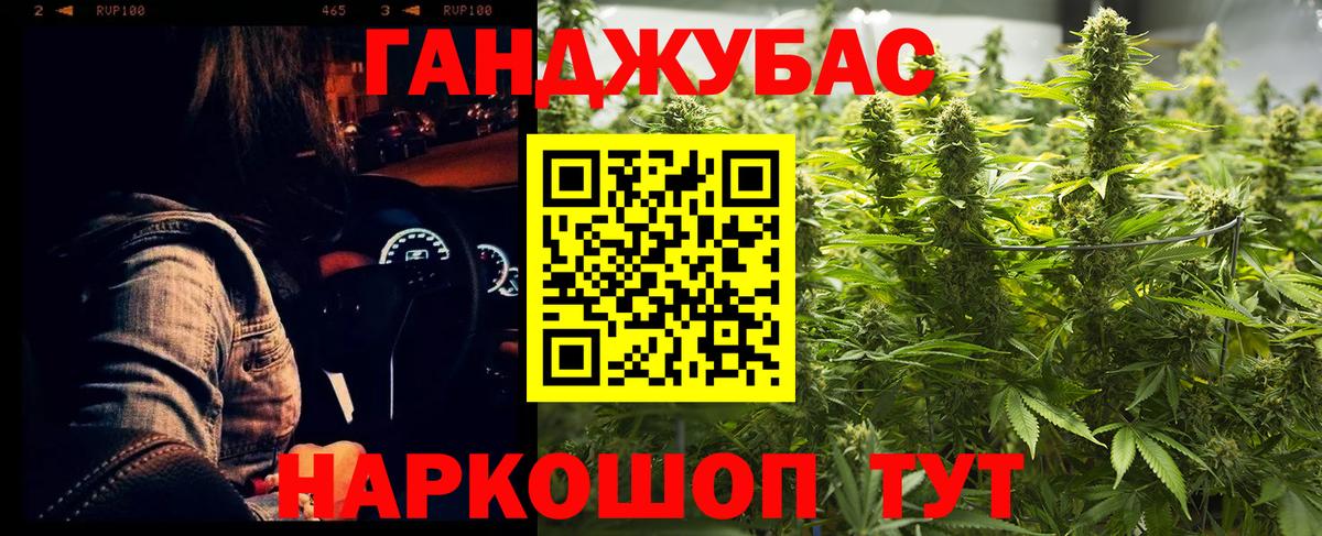 Конопля сатива Кимовск